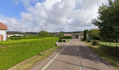 Earl Champagne Koechlin, Vignoble à Saulcy