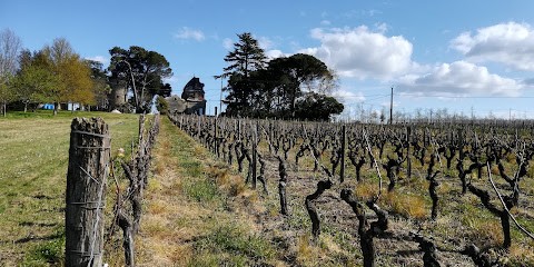 Château Tour Faugas, Vignoble à Gabarnac