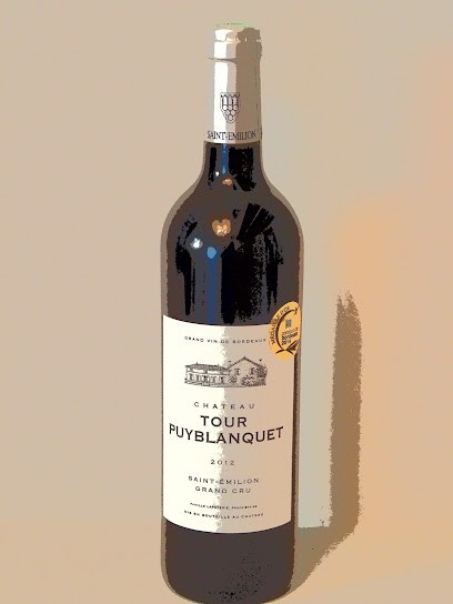 Château Tour Puyblanquet, Vignoble à Saint-Étienne-de-Lisse