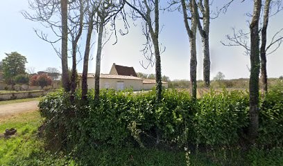 Château Vieux Manoir, Vignoble à Targon