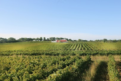 Vignobles Vellas - Teyran Agri Services, Vignoble à Teyran
