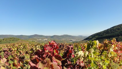 Domaine Dumord, Vignoble à Rivolet