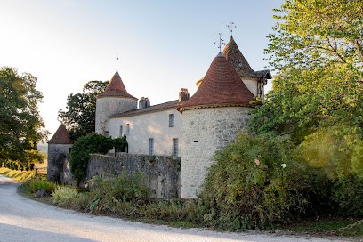 Château Couronneau, Vignoble à Ligueux
