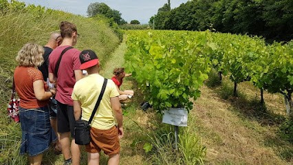 Domaine Le Chapelier, Vignoble à Saint-Julien-de-Peyrolas
