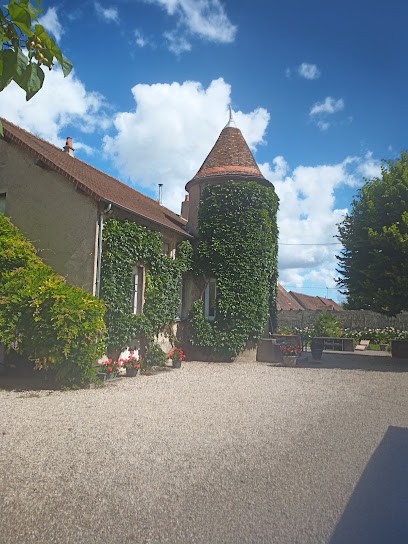 Courtinat Christophe, Vignoble à Saulcet