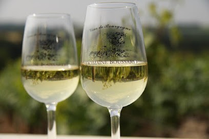 DOMAINE BOUSSARD Vins De Bourgogne, Vignoble à Nitry