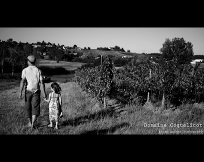 Domaine Coquelicot, Vignoble à Villefranche-de-Lonchat