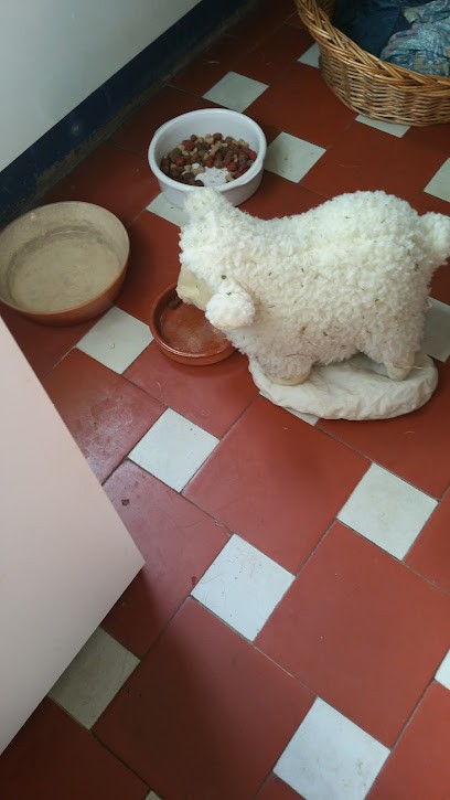 Chateau Perrot, Vignoble à Loubens