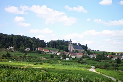 Champagne JARRY HERITAGE, Vignoble à Bethon