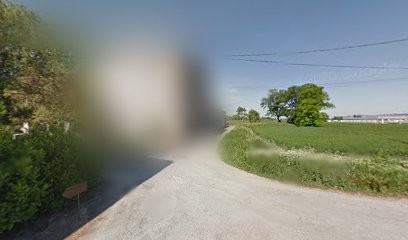 Spanghero Jean-Marie, Vignoble à Bram