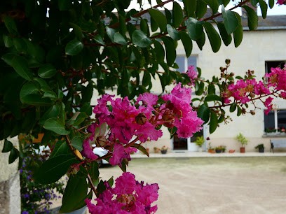 Domaine De La Sandrey, Vignoble à Turquant