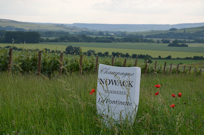 Champagne Nowack Vignoble à Vandières