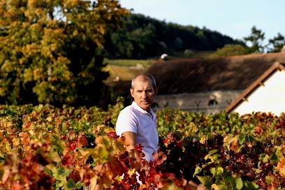 Domaine Brintet, Vignoble à Mercurey