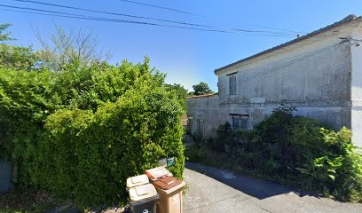 Château Haut-Baillou, Vignoble à Saint-Trojan