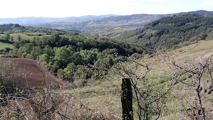 Gaec Cortay Crépier - Domaine De Champarloux, Vignoble à Sainte-Paule