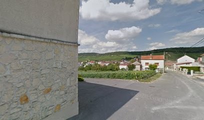 Coopérative Le Royal Coteau, Vignoble à Grauves