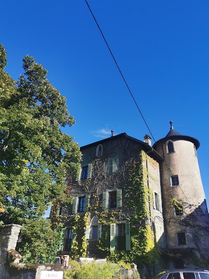 Château La Tour De Marignan, Vignoble à Sciez