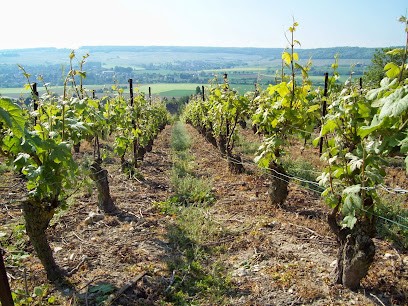 Champagne Couvent-Parent, Vignoble à Trélou-sur-Marne