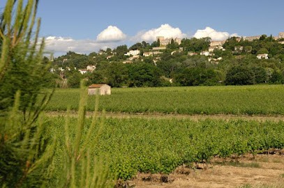 Les Terrasses Du Vidourle, Vignoble à Villevieille