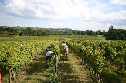 Chateau Bessan, Vignoble à Tabanac