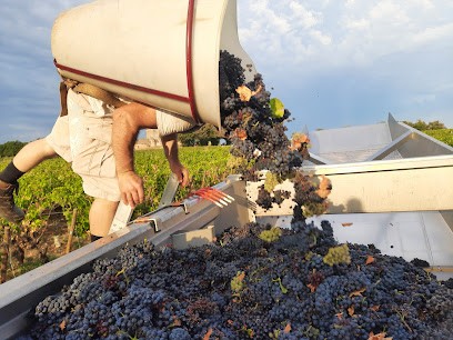 Chaland Jean-Marie, Vignoble à Viré
