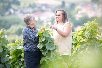 Champagne Sendron Destouches, Vignoble au Breuil