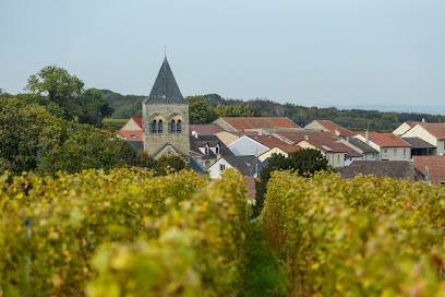 Champagne Jacques Picard, Vignoble à Berru