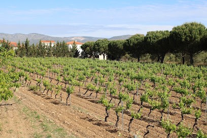 Domaine Fourty, Vignoble à Espira-de-l'Agly