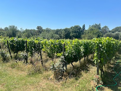 Domaine Saint-Joseph, Vignoble à Tourrettes-sur-Loup