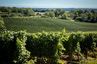 Sarl Côteaux Du Moulin Vignoble à Mouchan