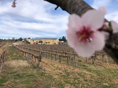 Domaine Augé, Vignoble à Boujan-sur-Libron