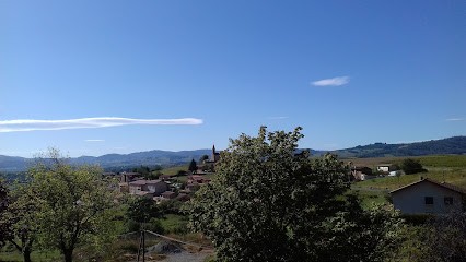 Cave Coop Beaujolaise, Vignoble à Val d'Oingt