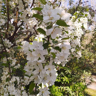 L'Hosanne, Vignoble à Vayres