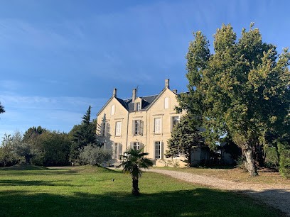 Chateau Barateau, Vignoble à Saint-Laurent-Médoc