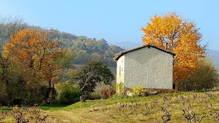 Domaine Du Crêt Du Ris, Vignoble à Salles-Arbuissonnas-en-Beaujolais