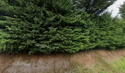 Race4You, Vignoble à Saint-Laurent-de-la-Prée