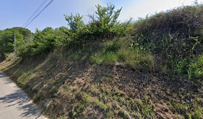 Earl de Chantegrives, Vignoble à Tresques