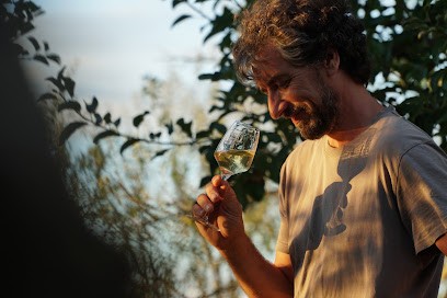 Château Montplaisir - vin bio de Bergerac, Vignoble à Prigonrieux