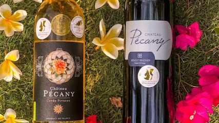 Château Pécany - Beigner Benoît, Vignoble à Pomport