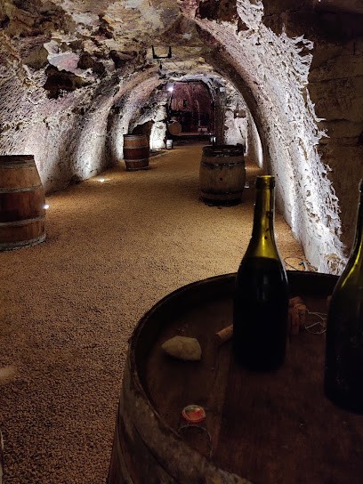 Le Petit Saint Vincent, Vignoble à Varrains