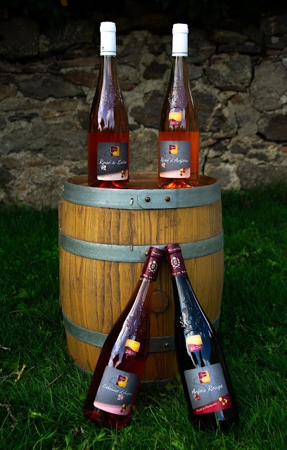 VIGNOBLE DE LA MULONNIERE – AOC Coteaux-du-Layon à Angers, Vignoble à Beaulieu-sur-Layon