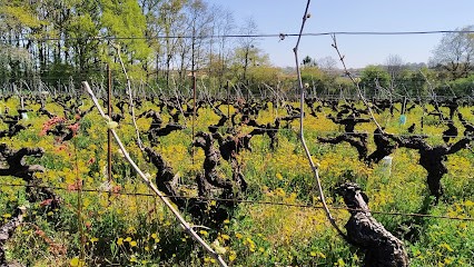 Domaine des Cognettes, Vignoble à Clisson