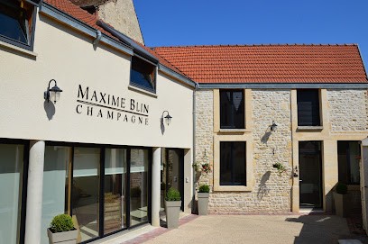 R Blin Et Fils, Vignoble à Trigny