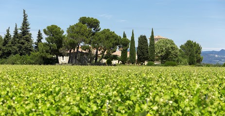 Domaine Du Bois Des Dames, Vignoble à Violès