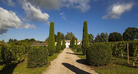 Chateau De Laussac Vignobles Et Gite, Vignoble à Saint-Magne-de-Castillon
