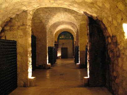 Jeaunaux-Robin Cyril, Vignoble à Talus-Saint-Prix