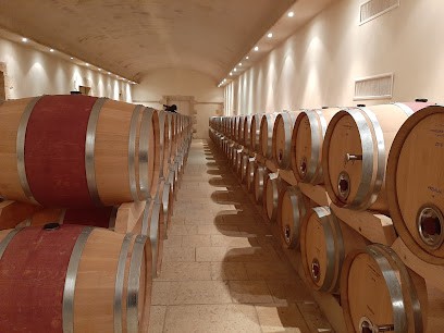 Château Mangot - Famille Todeschini, Vignoble à Saint-Étienne-de-Lisse