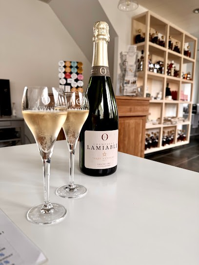 CHAMPAGNE LAMIABLE, Vignoble à Tours-sur-Marne