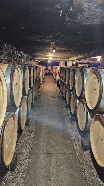 Meix Foulot Earl Le, Vignoble à Mercurey