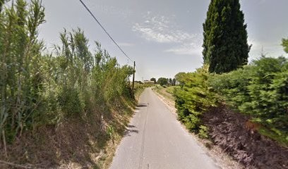 Domaine Corpet Louvet, Vignoble à Séguret